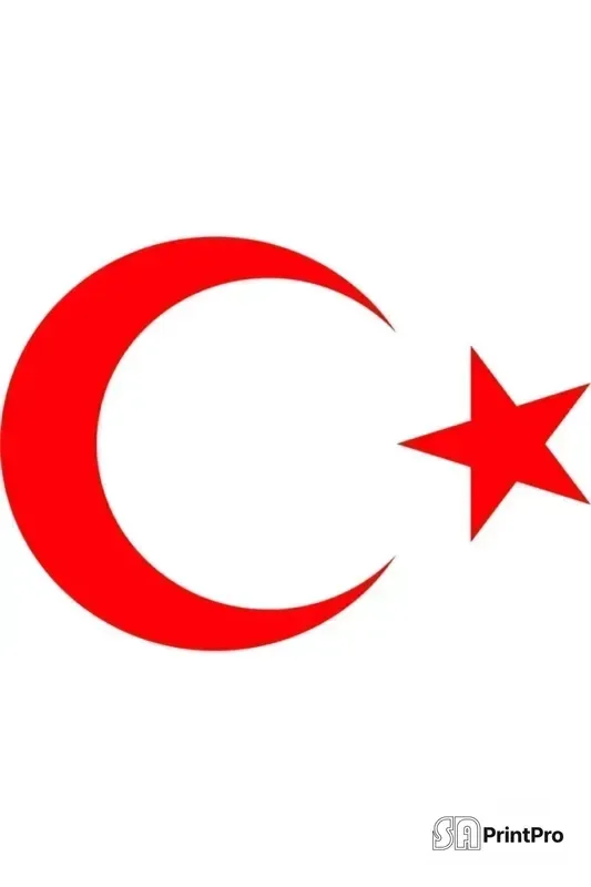 Türk Bayrağı Stıckers Ay Yıldız Kırmızı 22x16